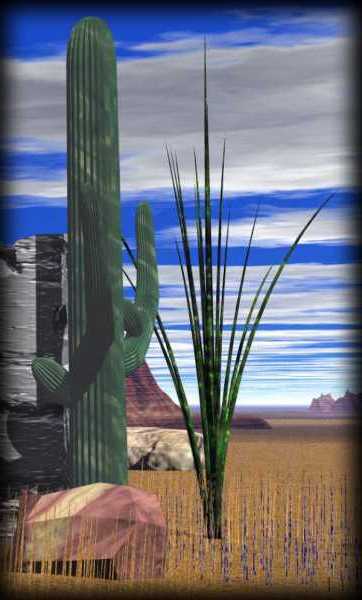 saguaro